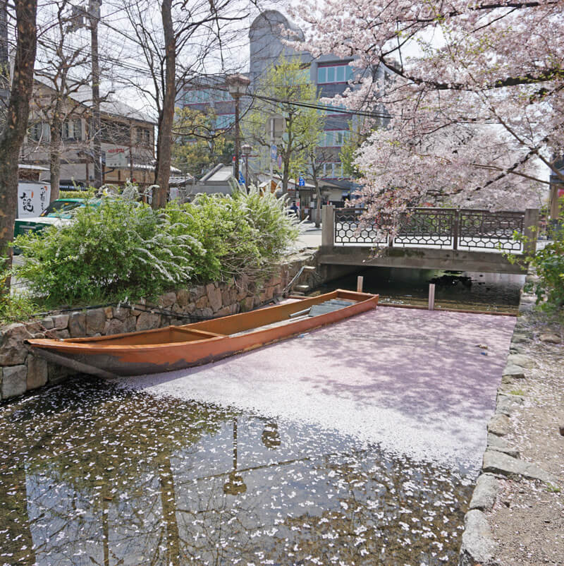 桜の花筏(はないかだ)